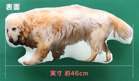 50cm 犬型クッション制作過程