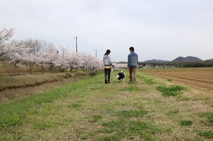 タッチと一緒に